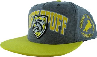 Harry Potter Hufflepuff Crest Badge Snapback Hat